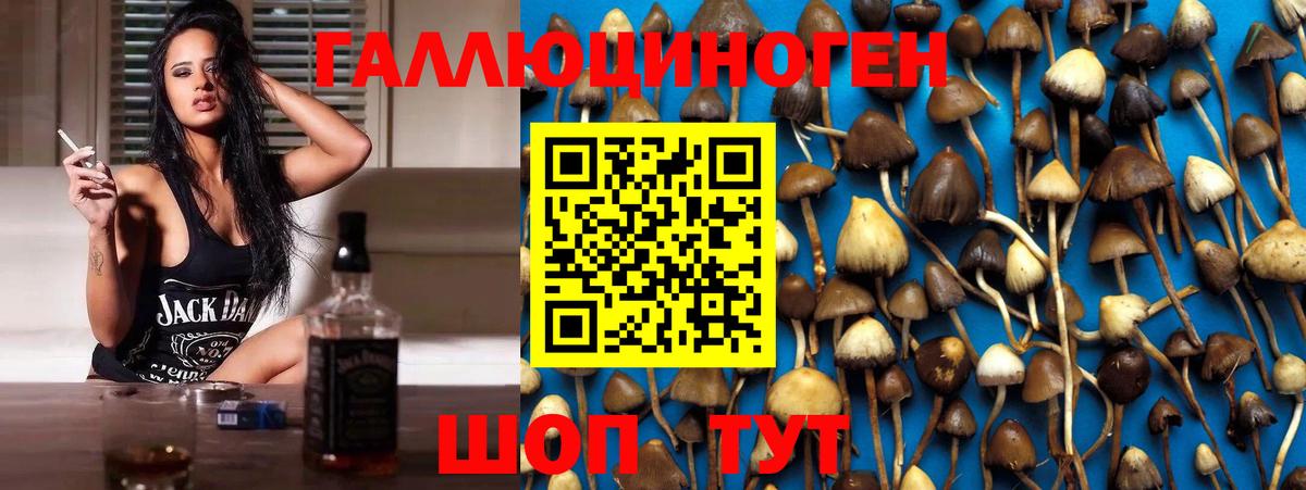 Галлюциногенные грибы Psilocybe Тавда