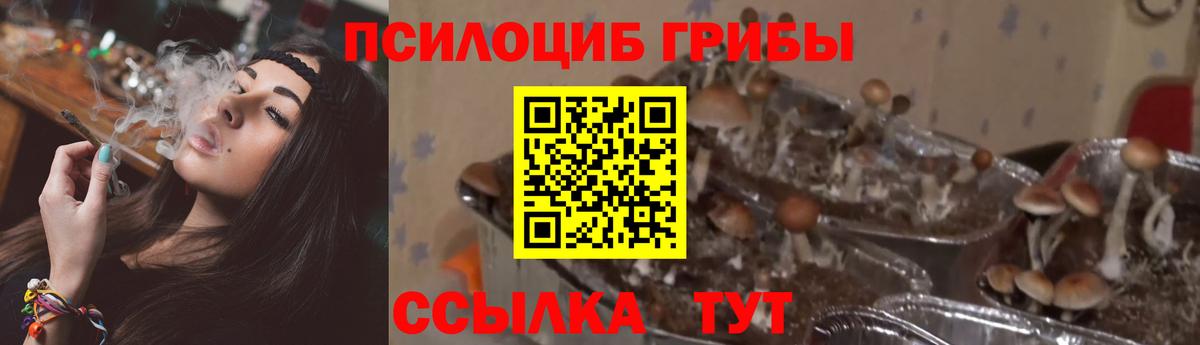 Псилоцибиновые грибы мухоморы  Вход с VPN  Тавда 